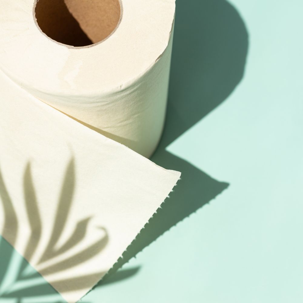Eco Friendly Recycled Toilet Rolls
